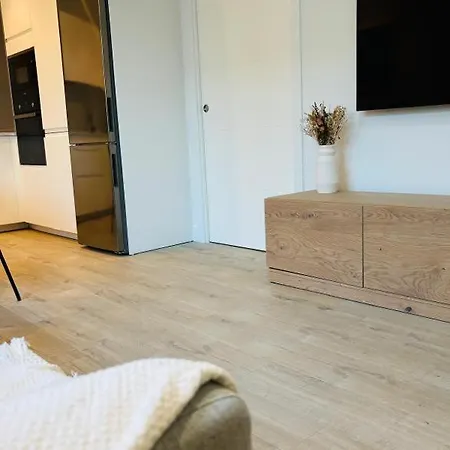 Flow Apartman Sopelana